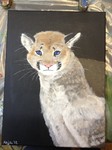 Puma Acryl